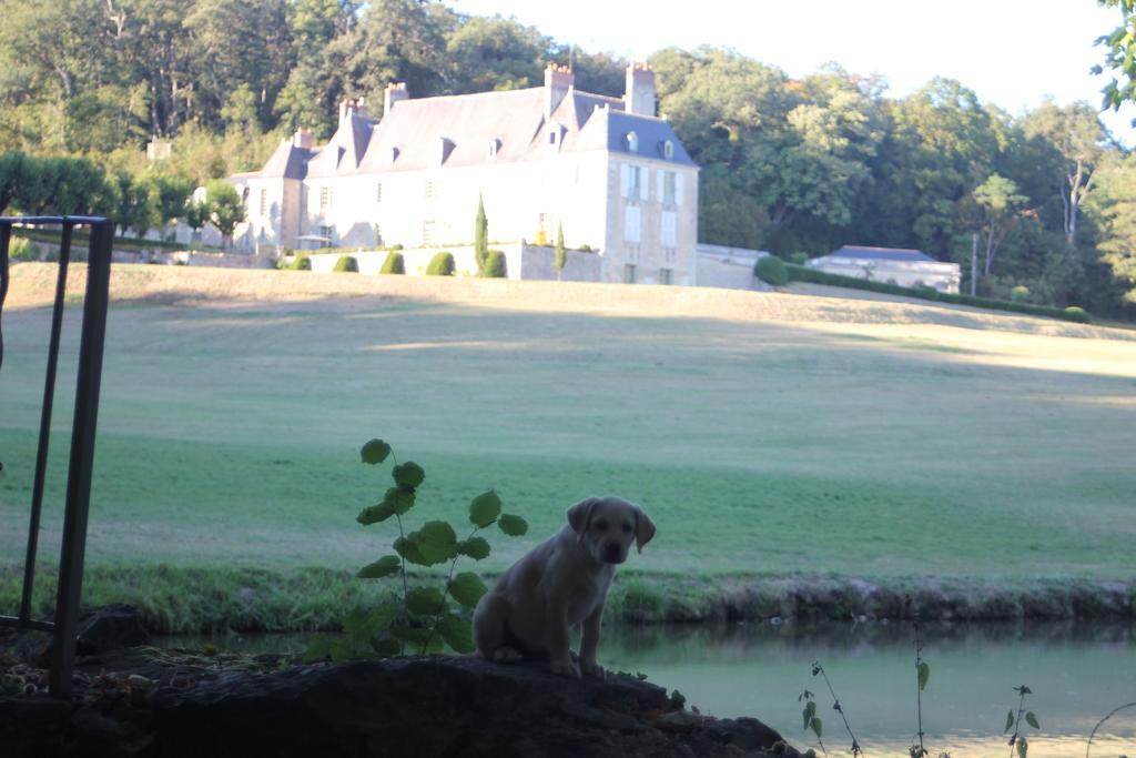 Chateau D'Hodebert Saint-Paterne-Racan Esterno foto